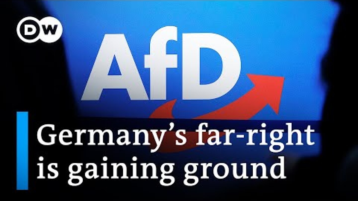 How much of a neo-Nazi party is the German AfD? | DW News
