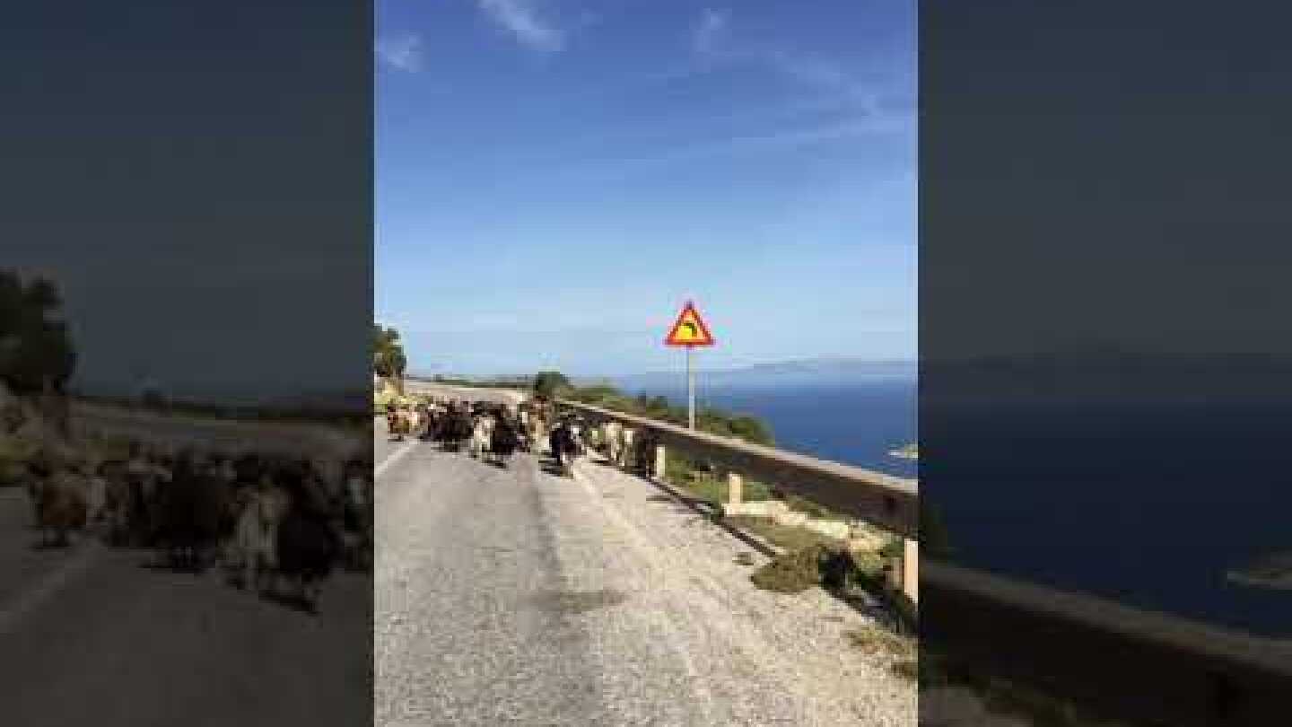 Τα «εμπόδια» που μπορείς να συναντήσεις πηγαίνοντας στο Amorgos Trail Challenge