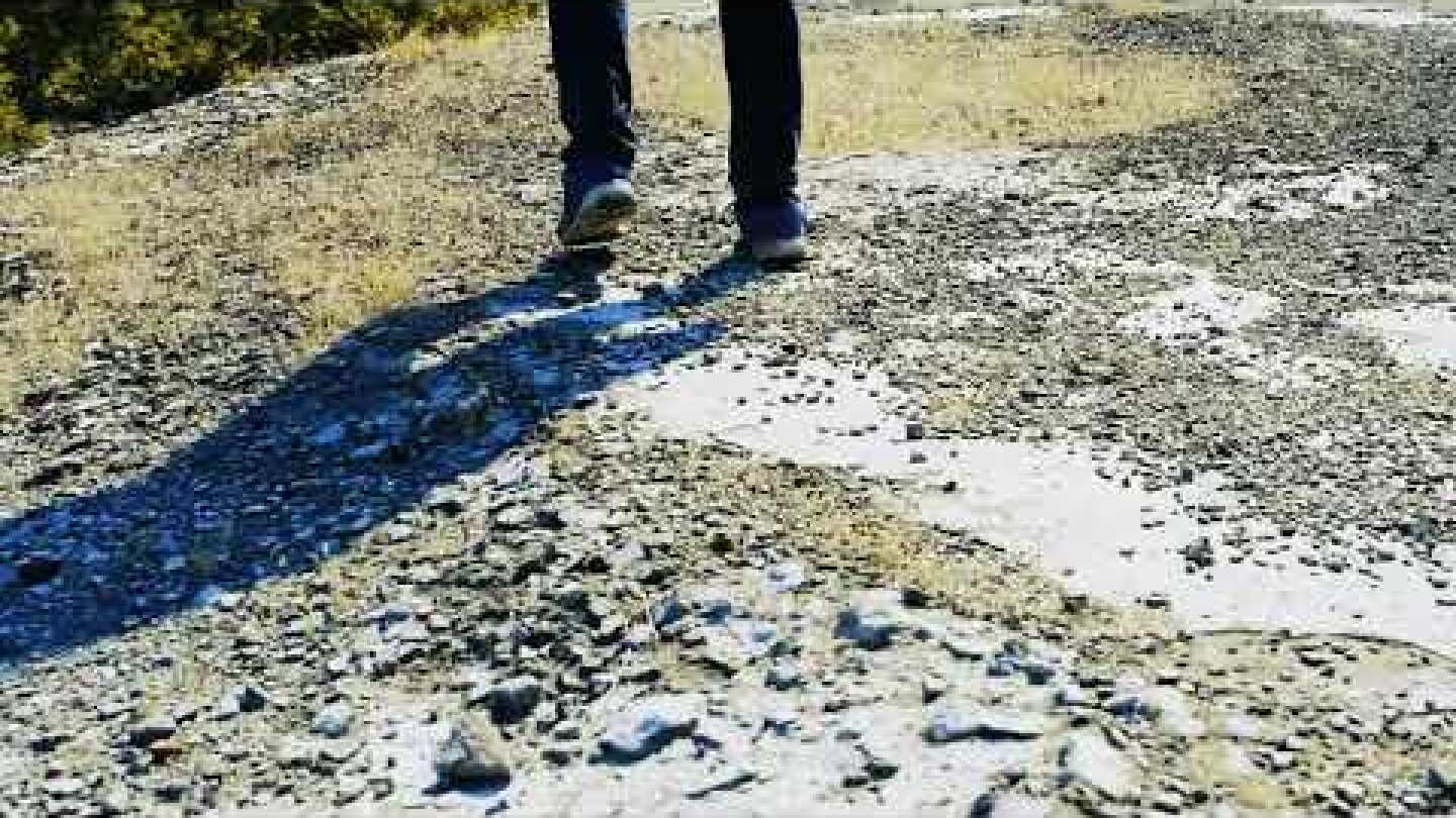 4th bio-Mechanical Festival | Teaser | bmf 2020