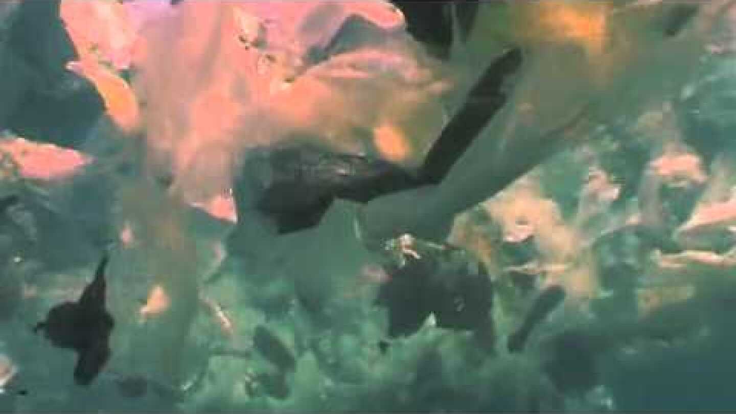 Shocking: plastic waste in Mediterranean Sea