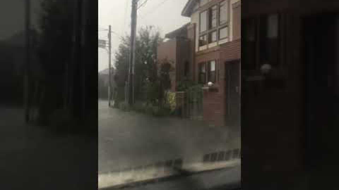 Heavy rain japan