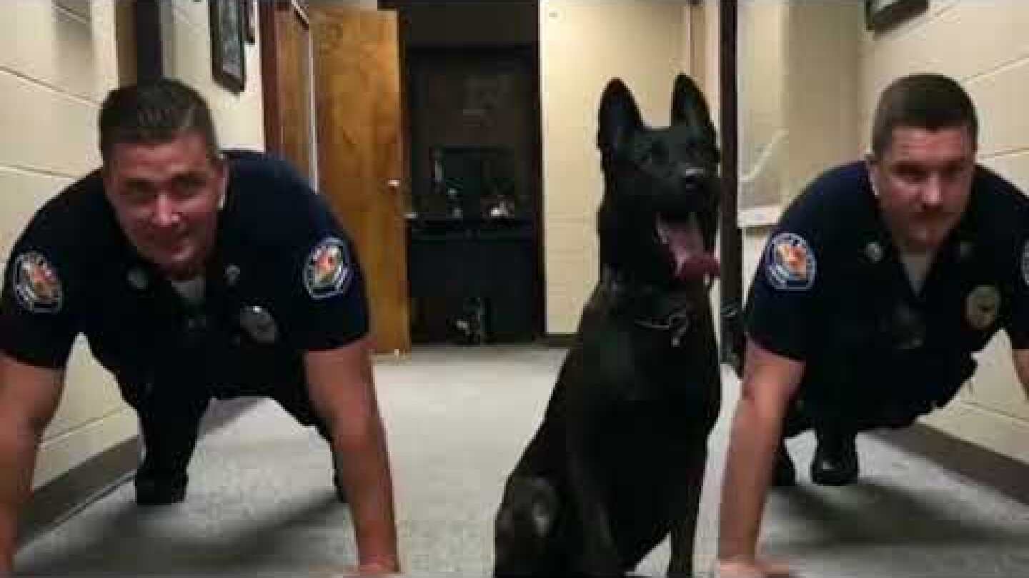 Adorable K-9 Dog Cop Does Push-Ups with Two Other Officers