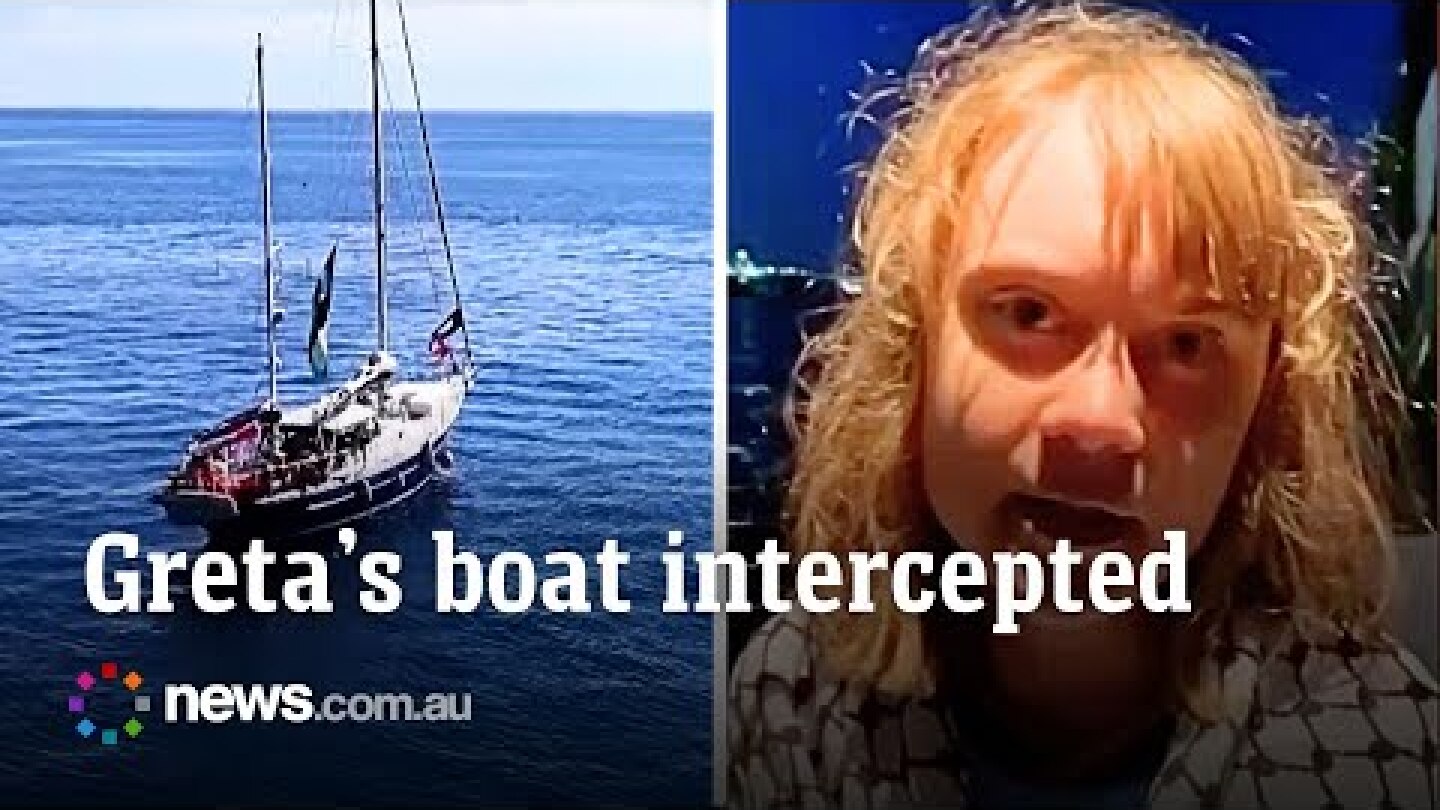 “We have been kidnapped”: Israeli military intercepts Greta Thunberg’s ship