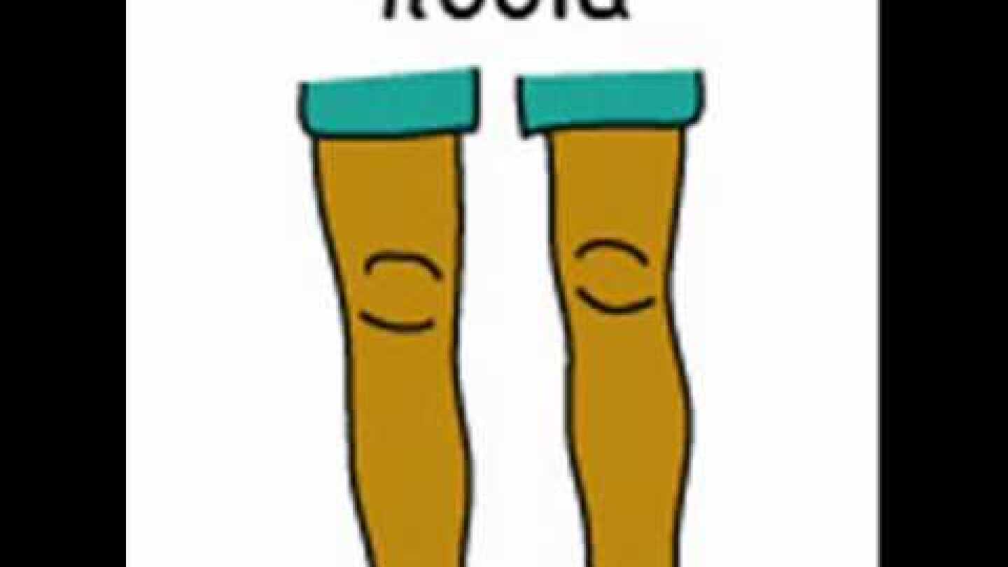 Χόκι Πόκι με εικόνες Pecs.wmv