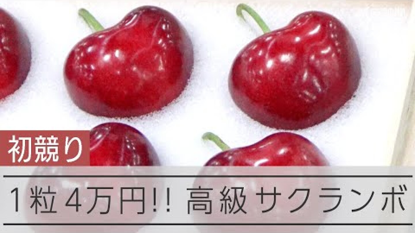【１箱60万円】高級サクランボ「青森ハートビート」
