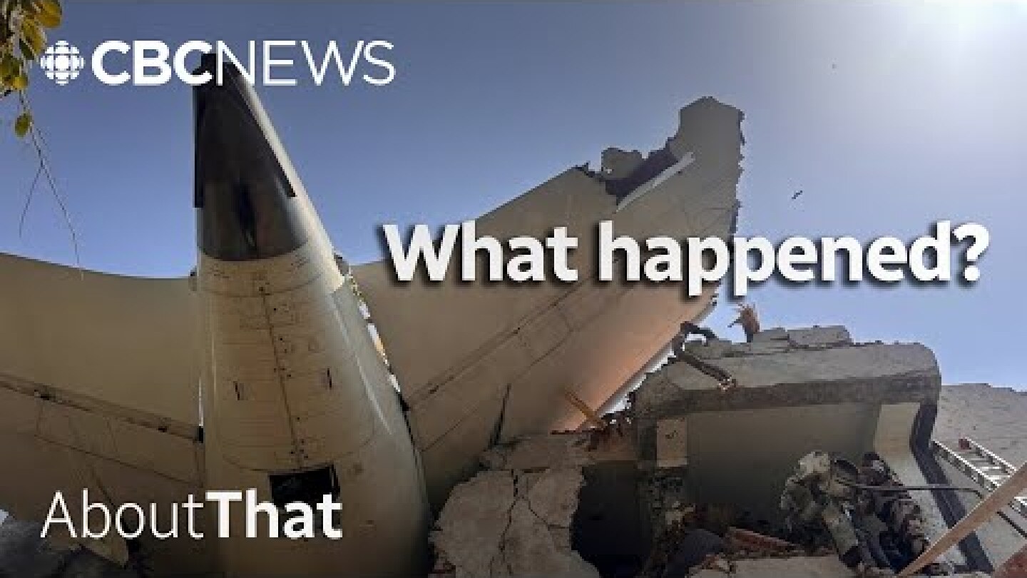 What caused Air India flight 171 to crash immediately after takeoff? | About That