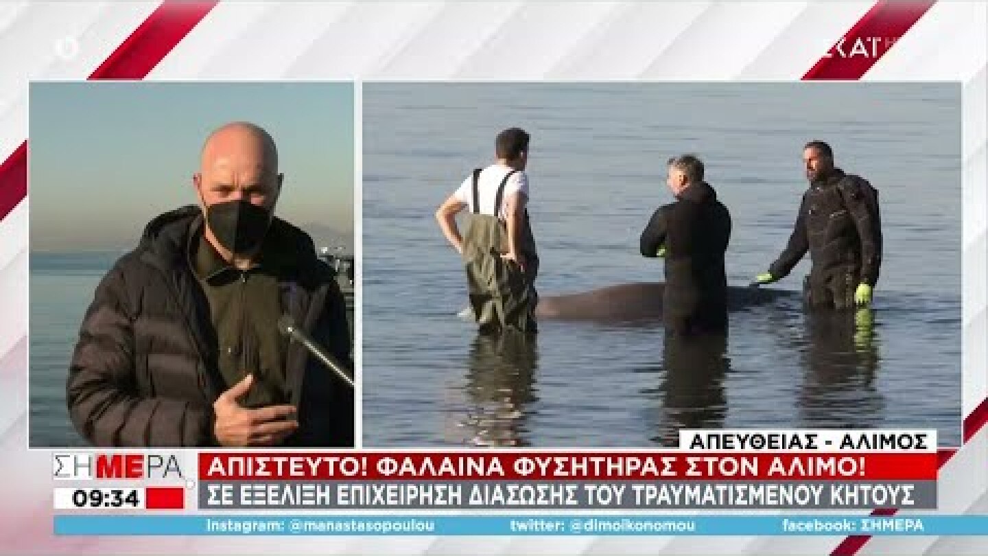 Σήμερα | Φάλαινα στον Άλιμο: Δυστυχώς αυτή τη στιγμή υποφέρει, λέει ο Γιώργος Αμυράς | 28/01/2022