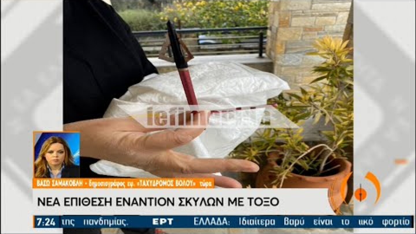 Νέα επίθεση με τόξο σε δεσποζόμενο σκύλο στο Βόλο ΕΡΤ 12/02/2021