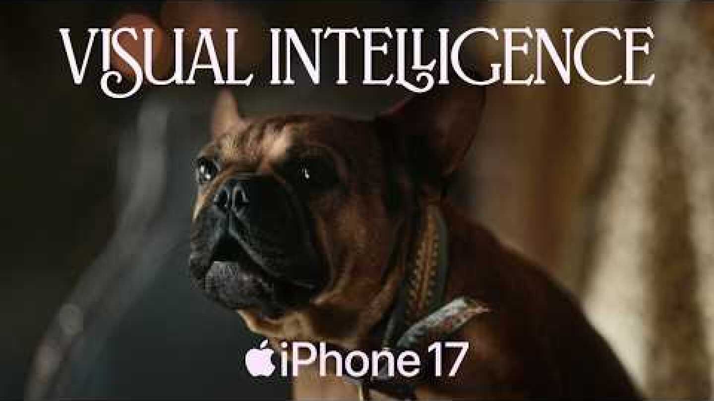 iPhone 17: Search Smarter with Visual Intelligence