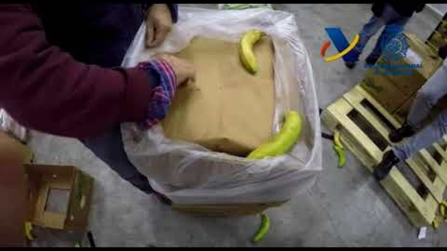 Incautados en Algeciras 8.740 kilos de cocaína en un contenedor