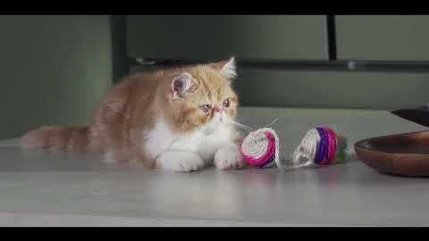 Making-of: Έτσι αναποδογύρισε το... γήπεδο η Stoiximan!