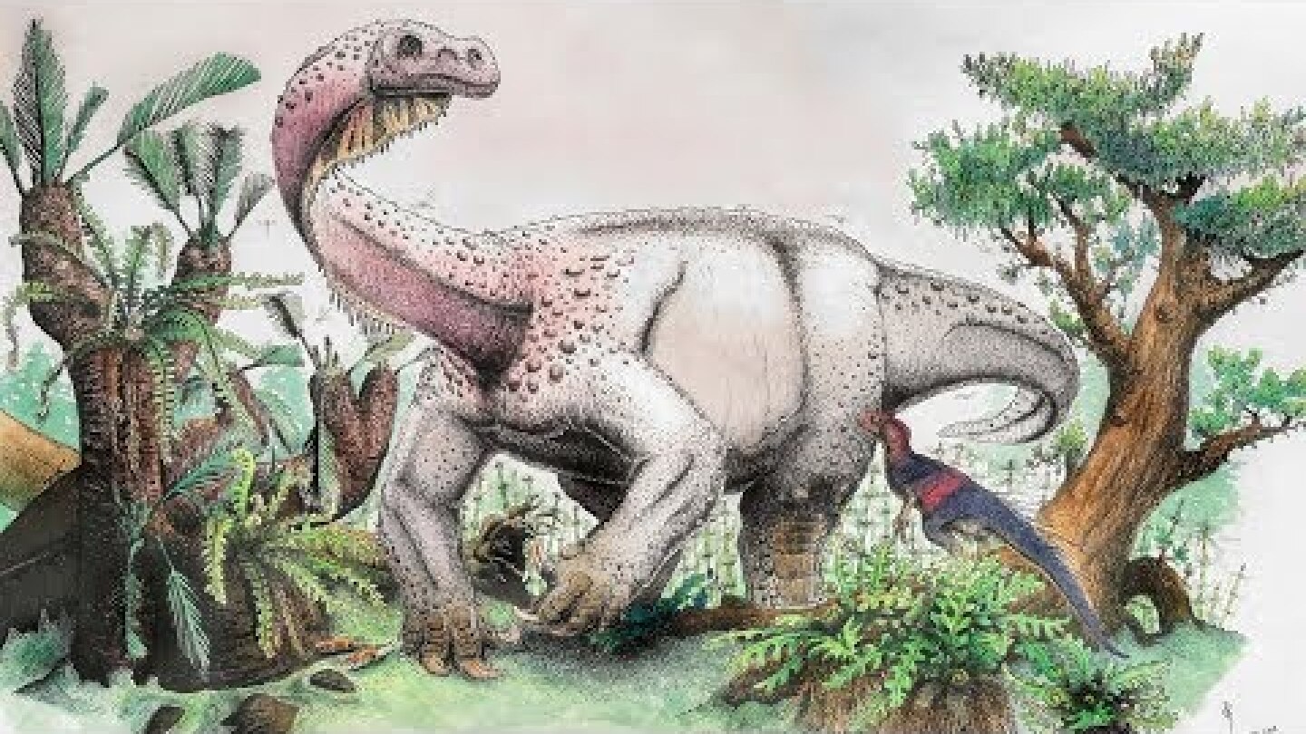 Ledumahadi Mafube - New Jurassic Giant of South Africa