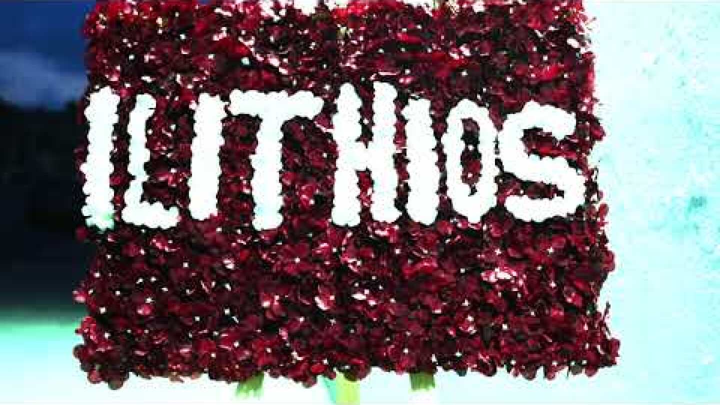 Ilithios // FLORIST //