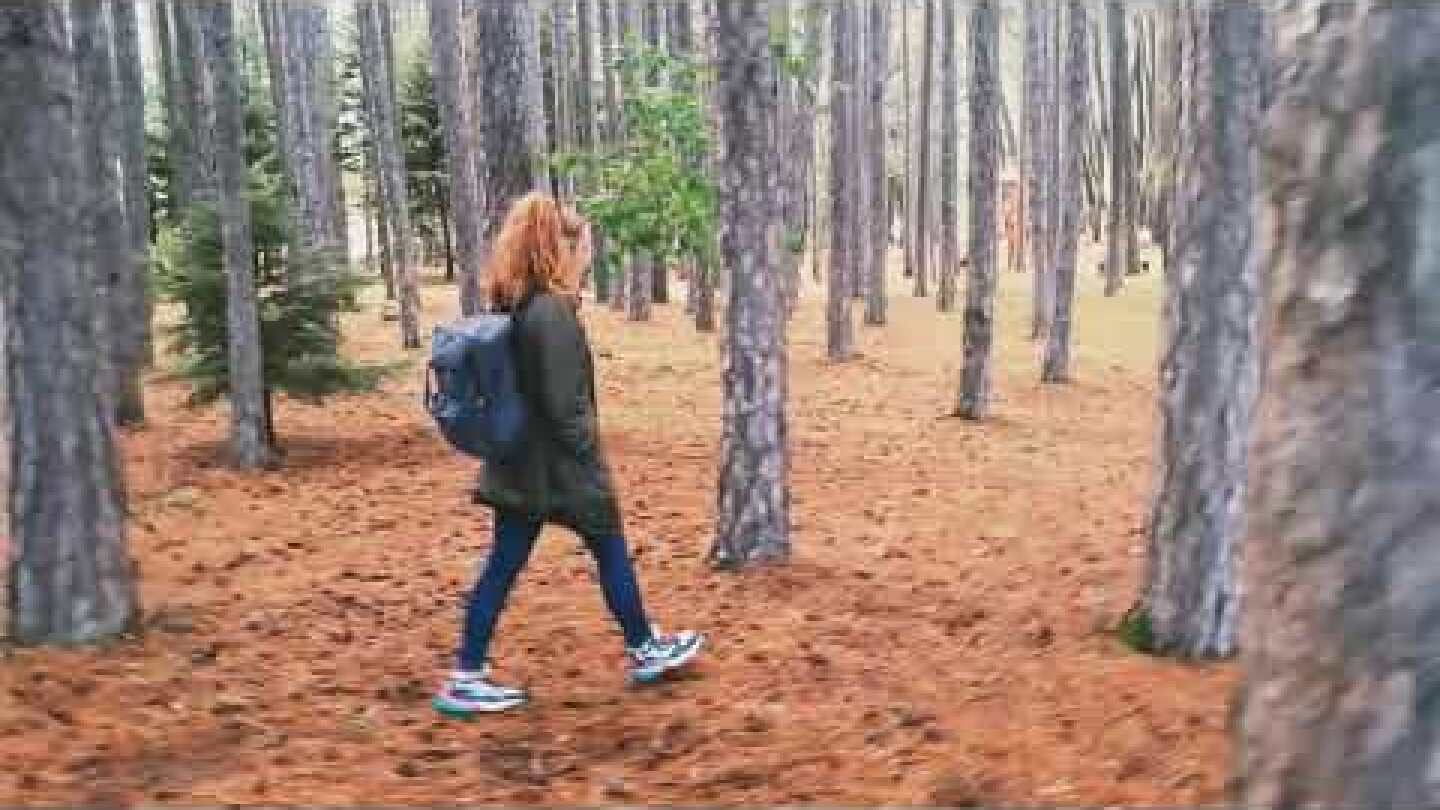 Happy Dog Project - Netsanet (freedom)