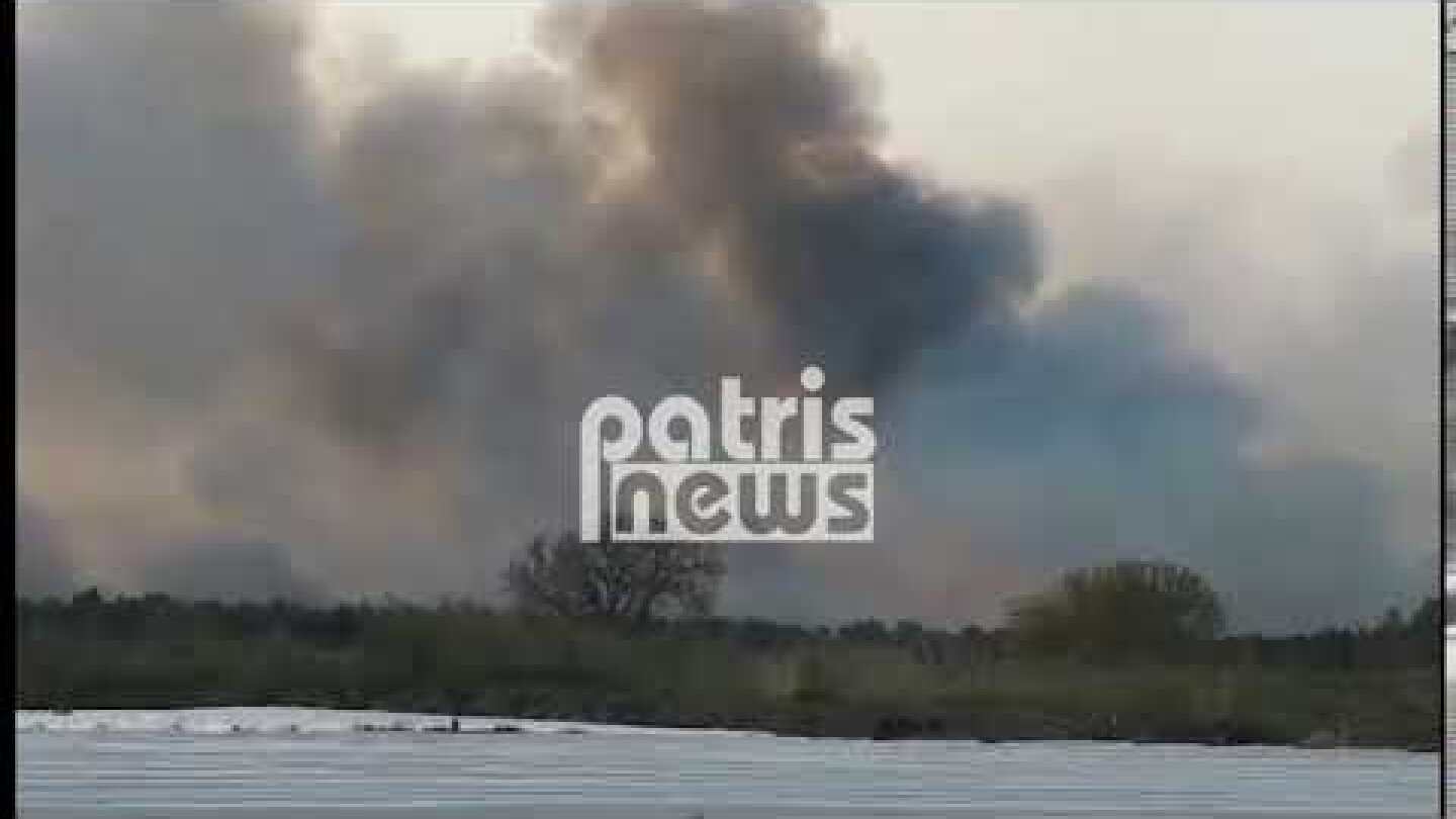 Κουνουπέλι: Μεγάλη πυρκαγιά στο δάσος της Στροφυλιάς - Καίγεται σπάνιο οικοσύστημα (VIDEO)