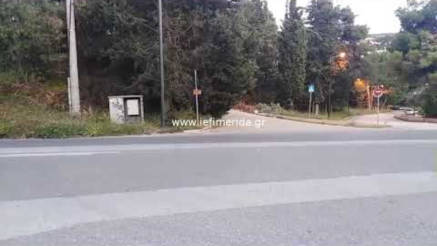 iefimerida.gr  Αγριογούρουνα κόβουν βόλτες στην Εκάλη