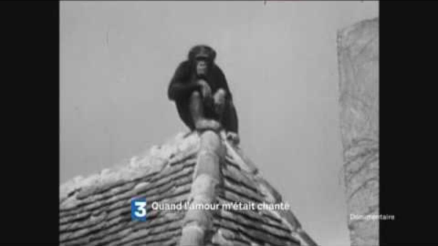 Quand l'Amour m'était chanté...sur France 3 Occitanie