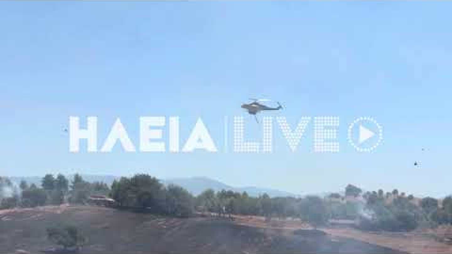 ilialive.gr - Μεγάλη φωτιά στην Κάμενα Αρχ. Ολυμπίας