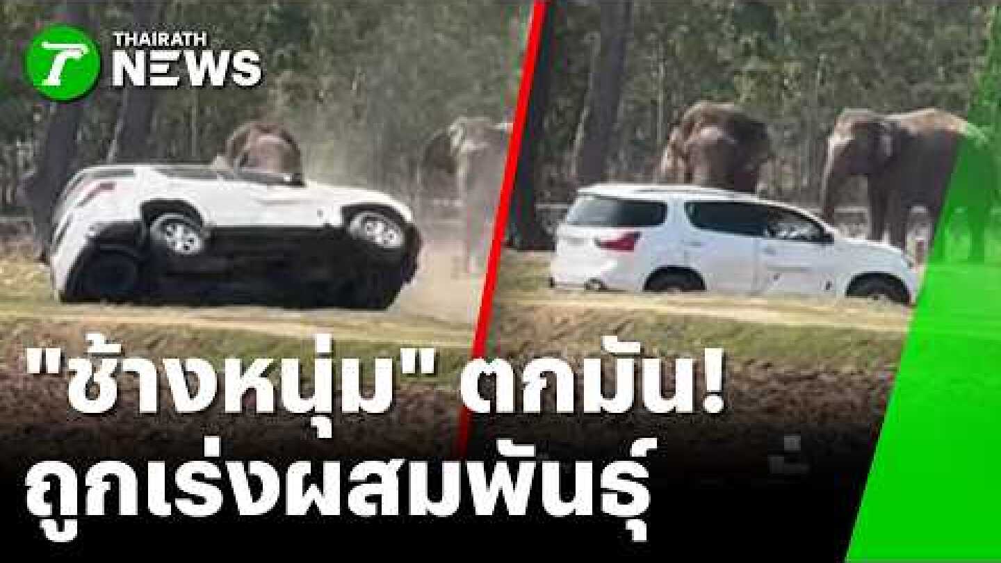 "ช้างหนุ่ม" ตกมัน! ถูกเร่งผสมพันธ์ุ ทำร้ายเจ้าของ-รถพังยับ | 17 ก.พ. 69 | ข่าวเช้าหัวเขียว