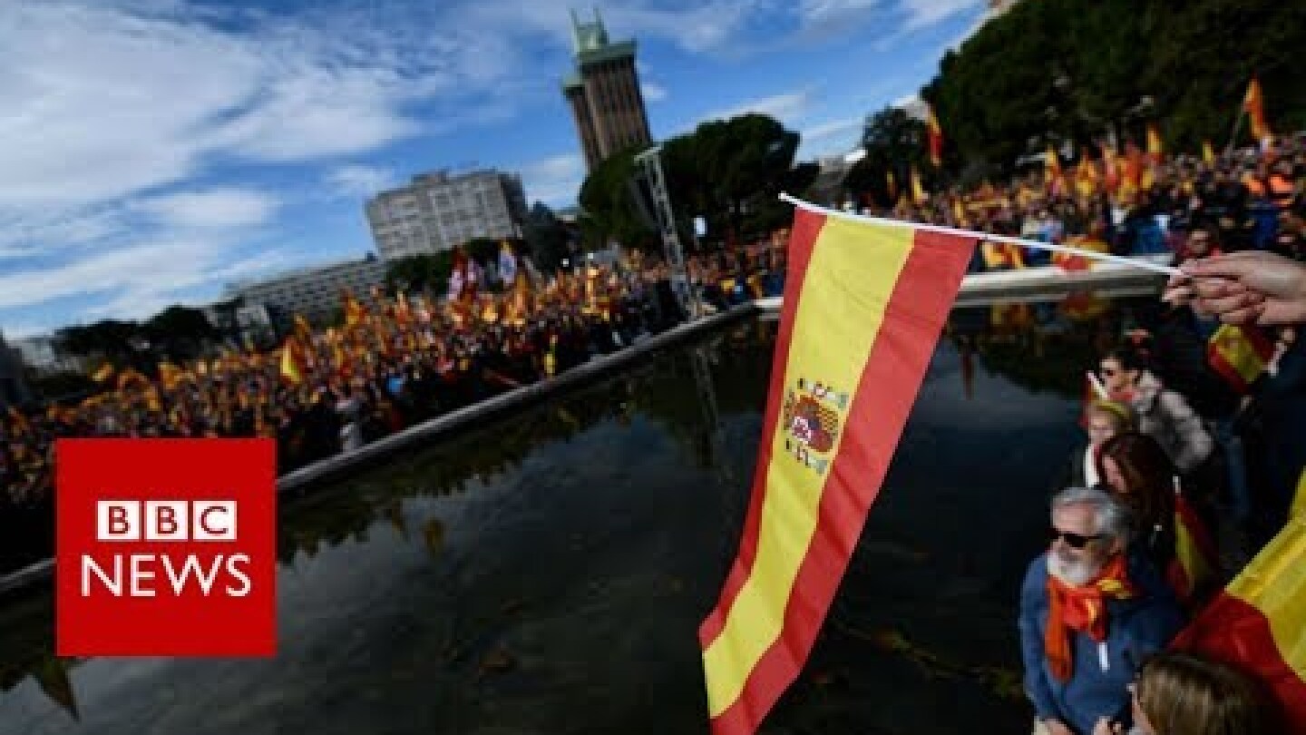 Vox: Who are Spain's far-right party? - BBC News