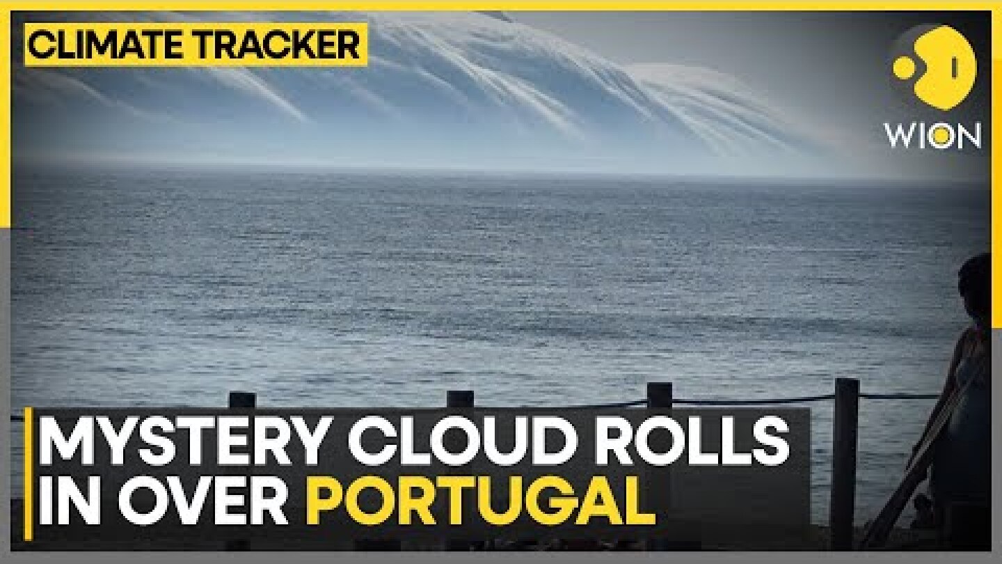 Rare Roll Cloud Stuns Portugal Beaches | WION Climate Tracker | World News | WION