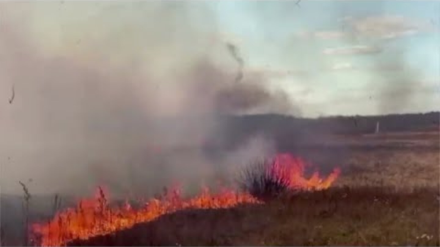 Chernobyl radiation 'exceeds norm' as forest fires rage