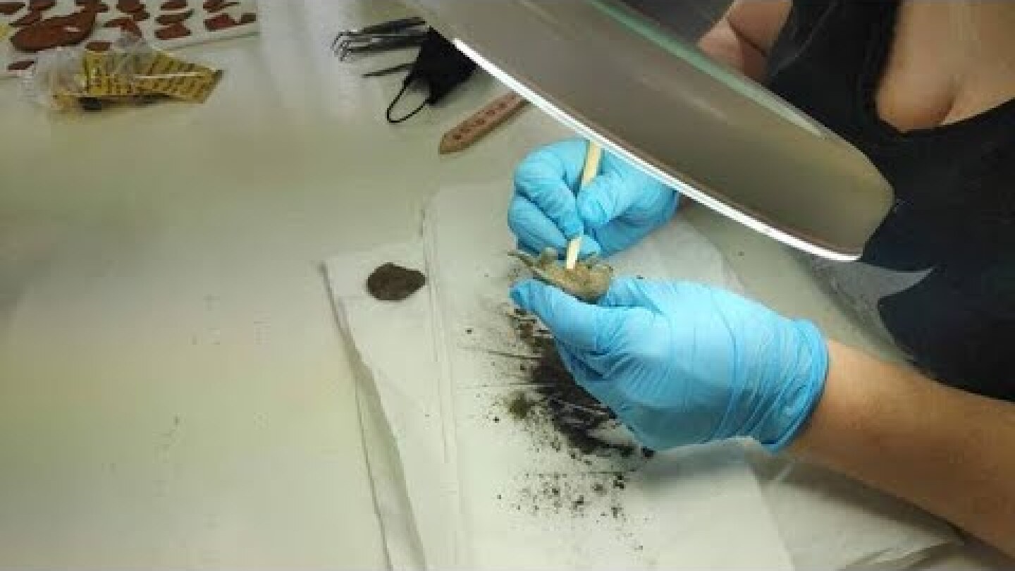 Συντήρηση χάλκινου ειδωλίου ταύρου από την Ολυμπία.