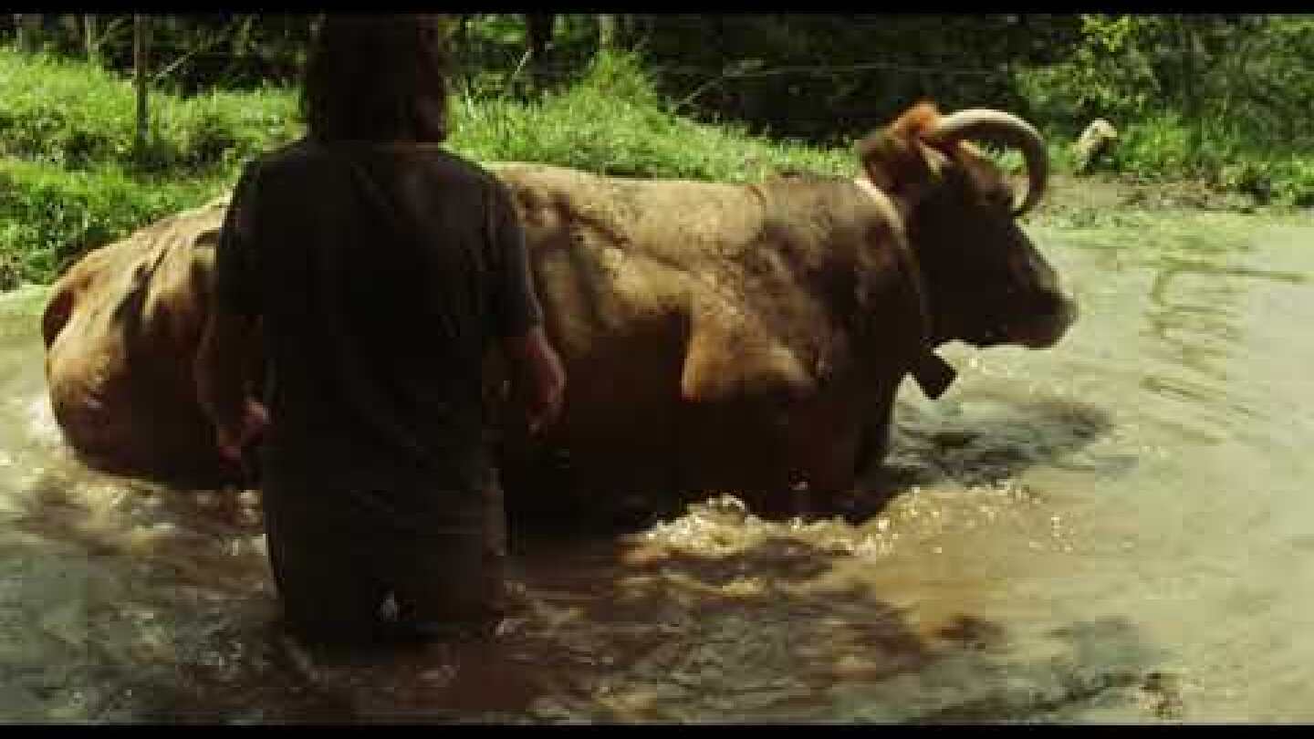 ΘΑ ΕΡΘΕΙ Η ΦΩΤΙΑ - Επίσημο Τρέιλερ