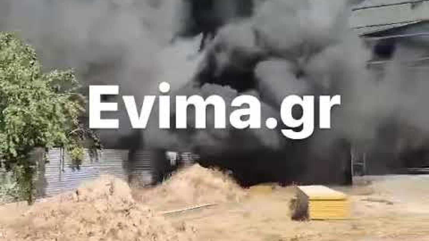 Φωτιά σε εργοστάσιο στην Εύβοια