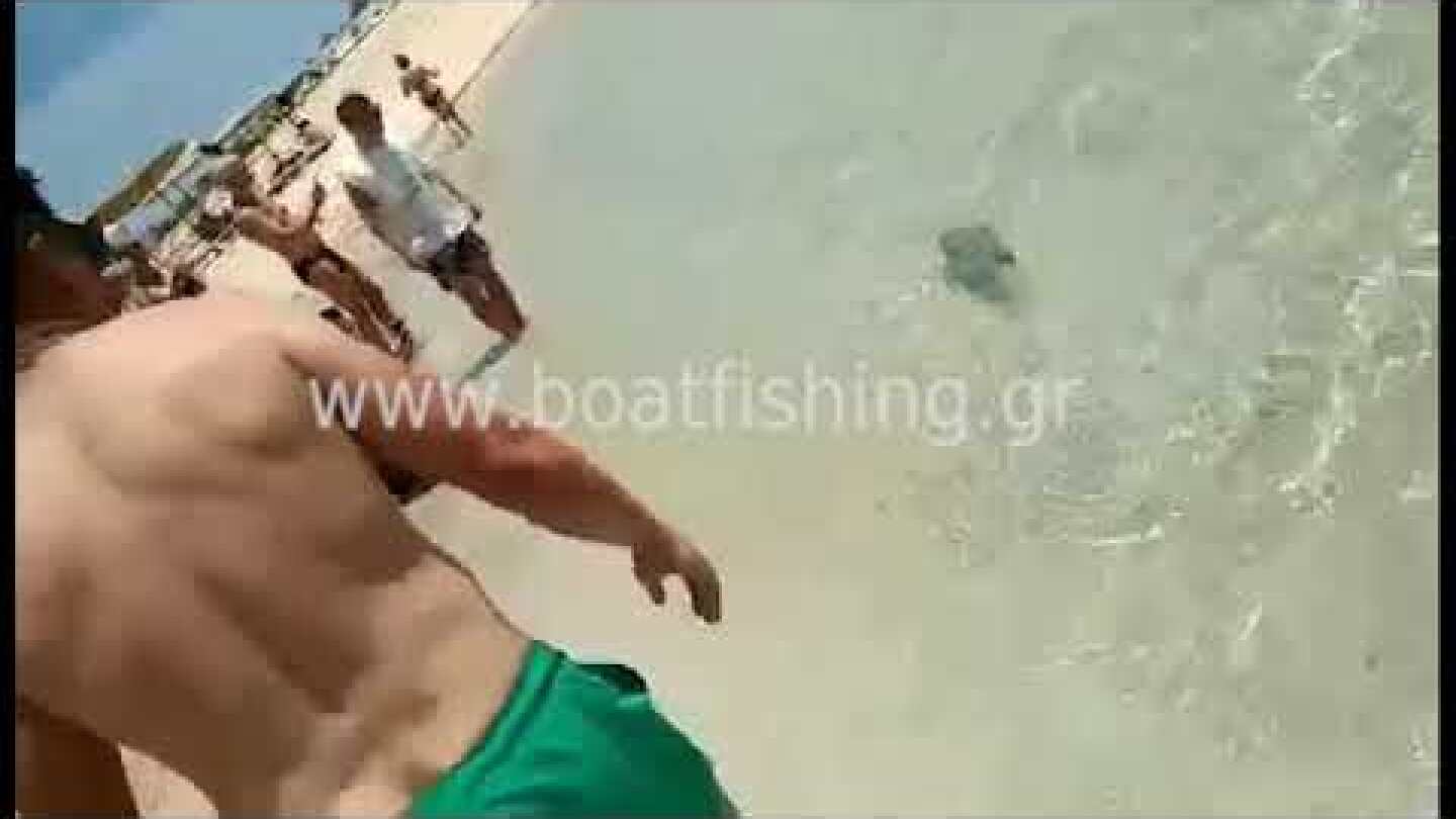 Λαγοκέφαλος δαγκώνει λουόμενο σε παραλία του Αιγαίου
