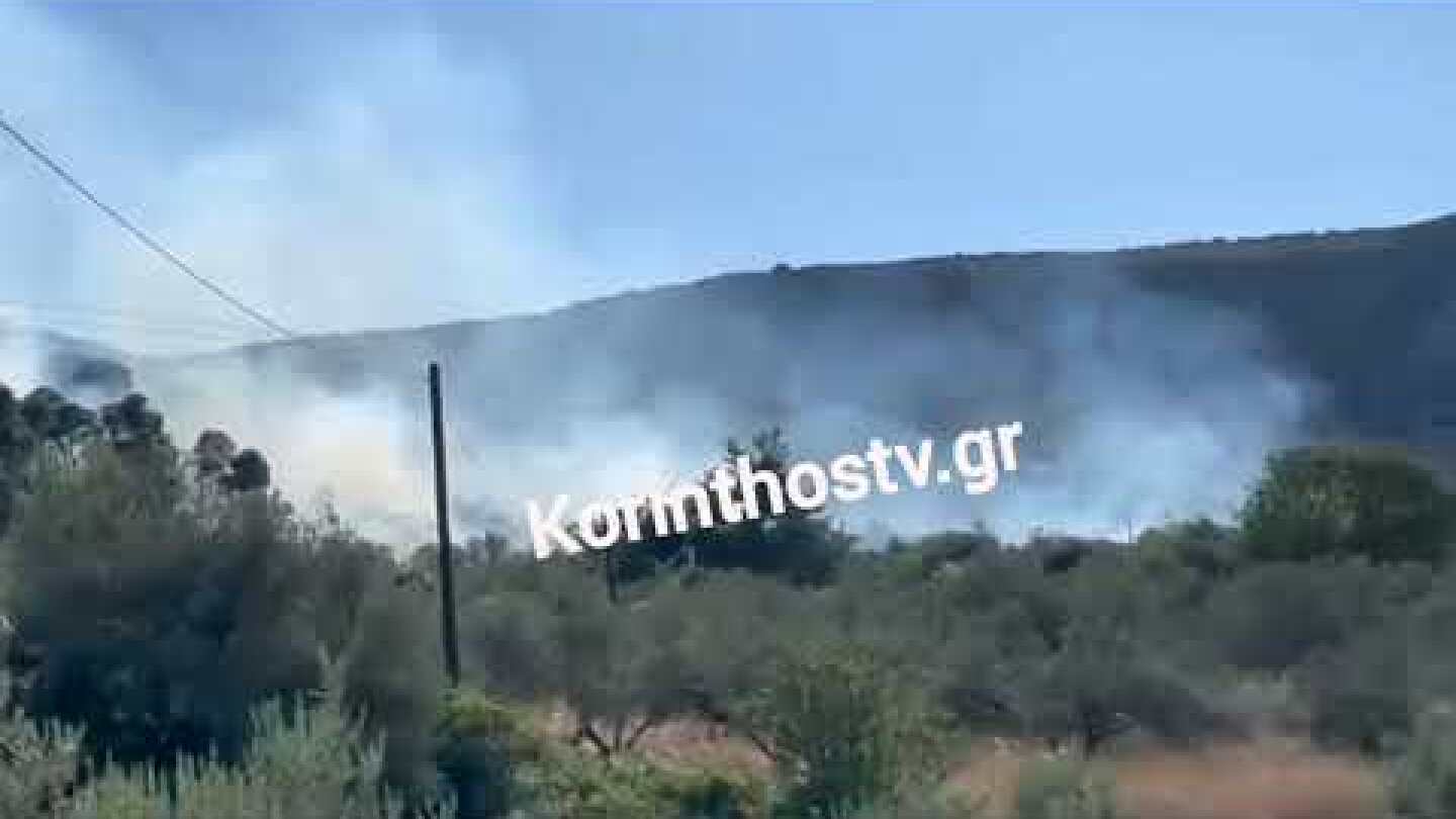 Πυρκαγιά σε δασική έκταση στο Μαψό Κορινθίας