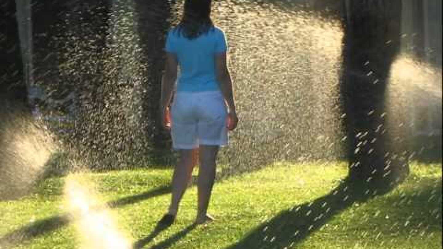 Thanassis Dritsas Inner light