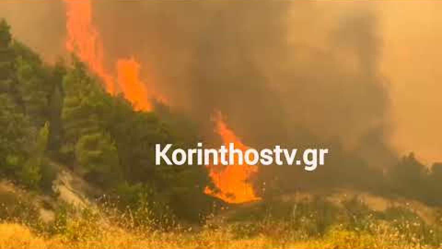 Φωτιά στην Στιμάγκα: Ανεξέλεγκτο το πύρινο μέτωπο – Πλησιάζει το χωριό Κούτσι Νεμέας