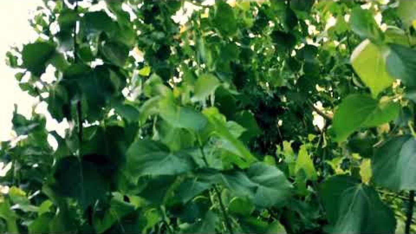 Πέρασαν τα χρόνια.