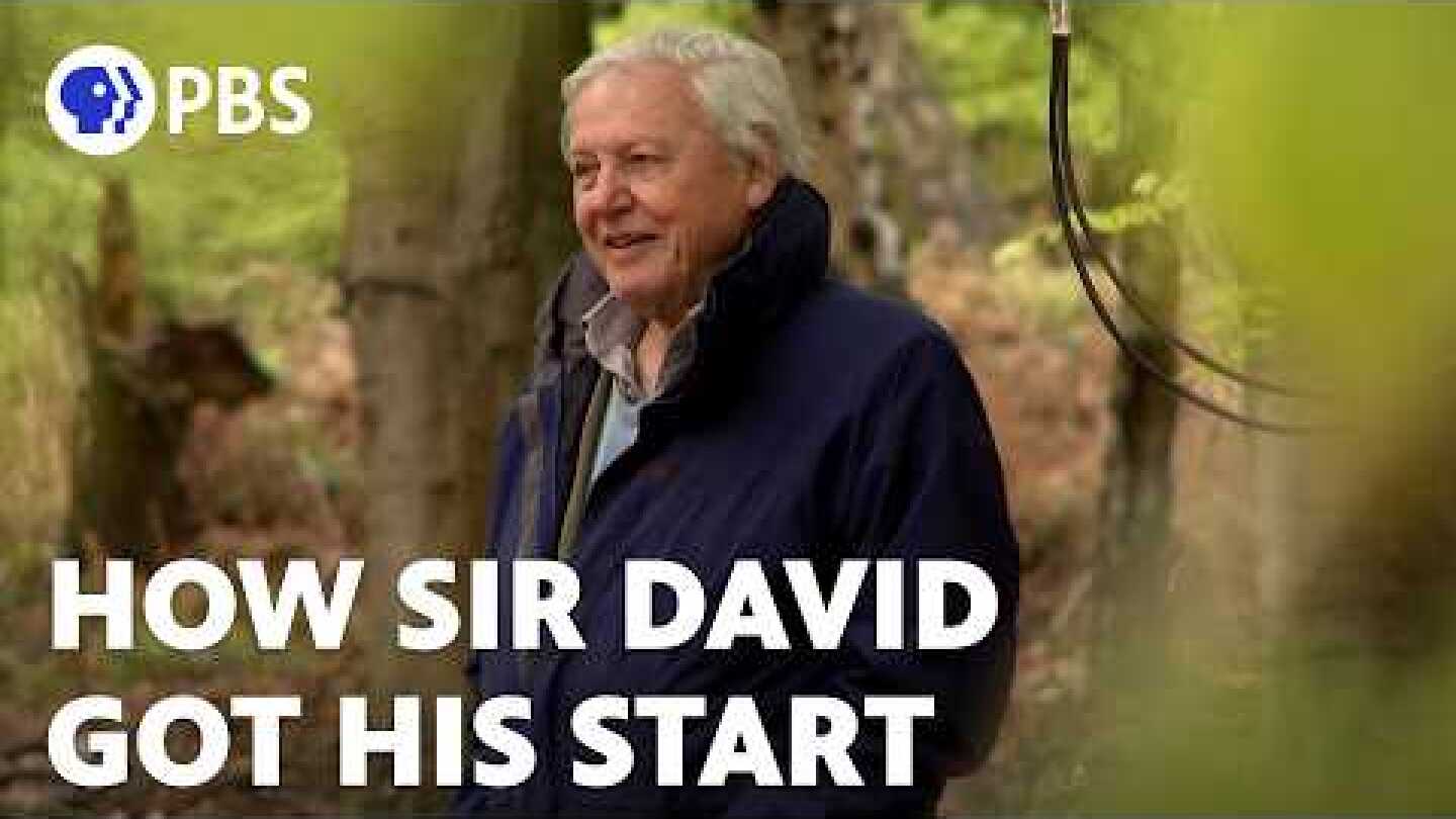 How Sir David Attenborough Got His Start