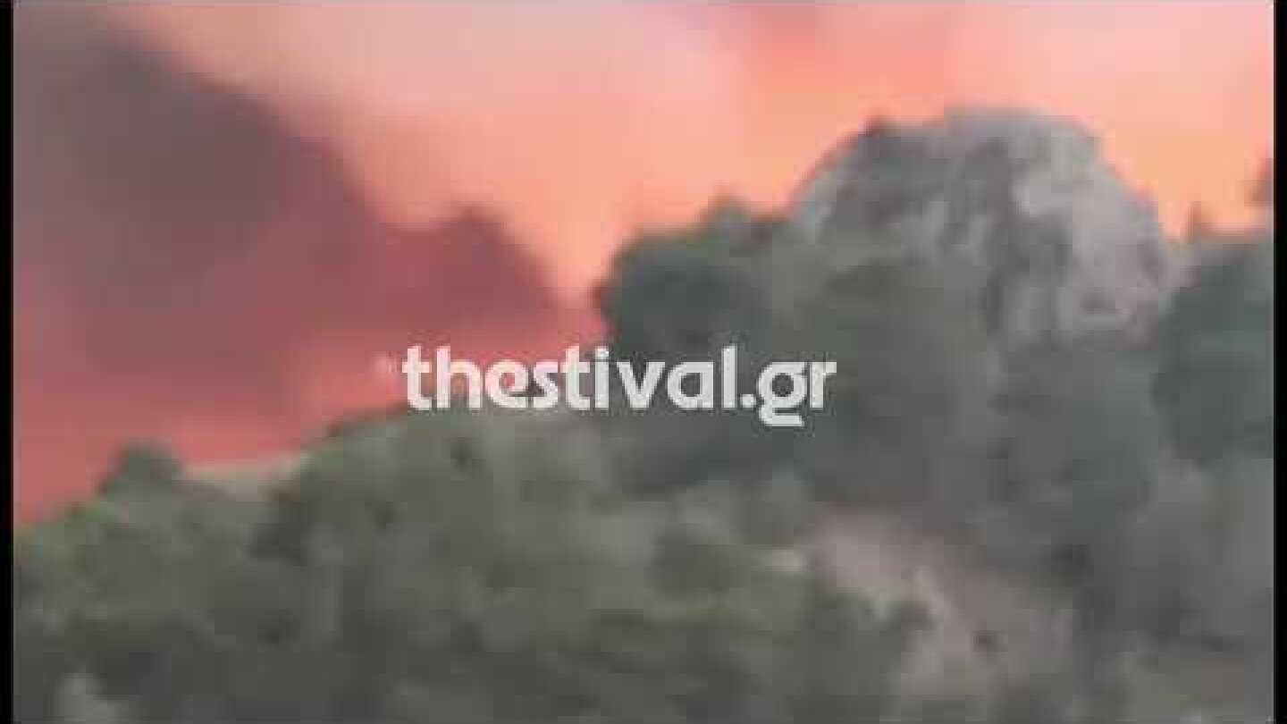 Thestival.gr Μεγάλη φωτιά στη Δαδιά Έβρου