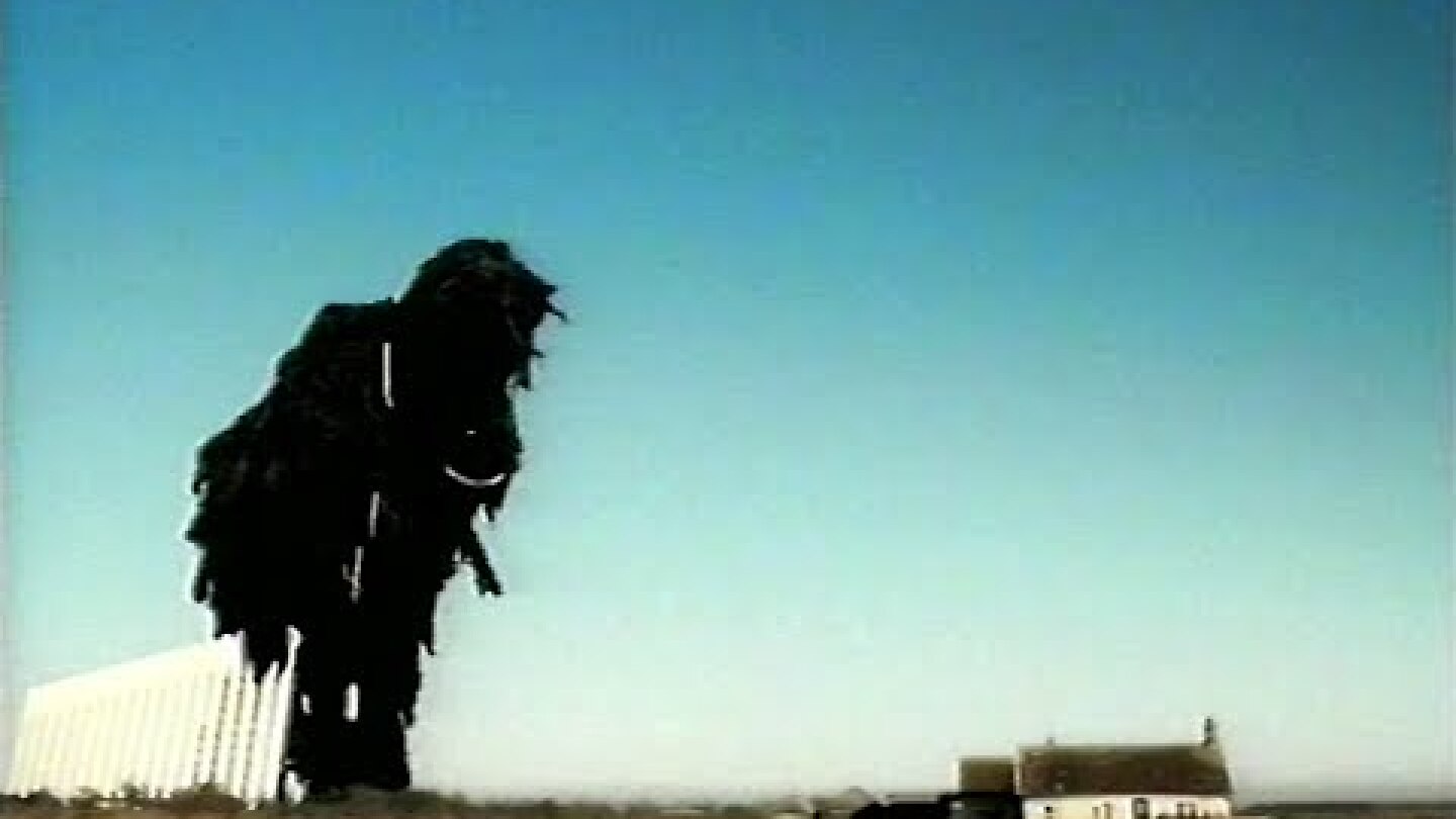 Snapped Ankles - Raoul (Official Video)