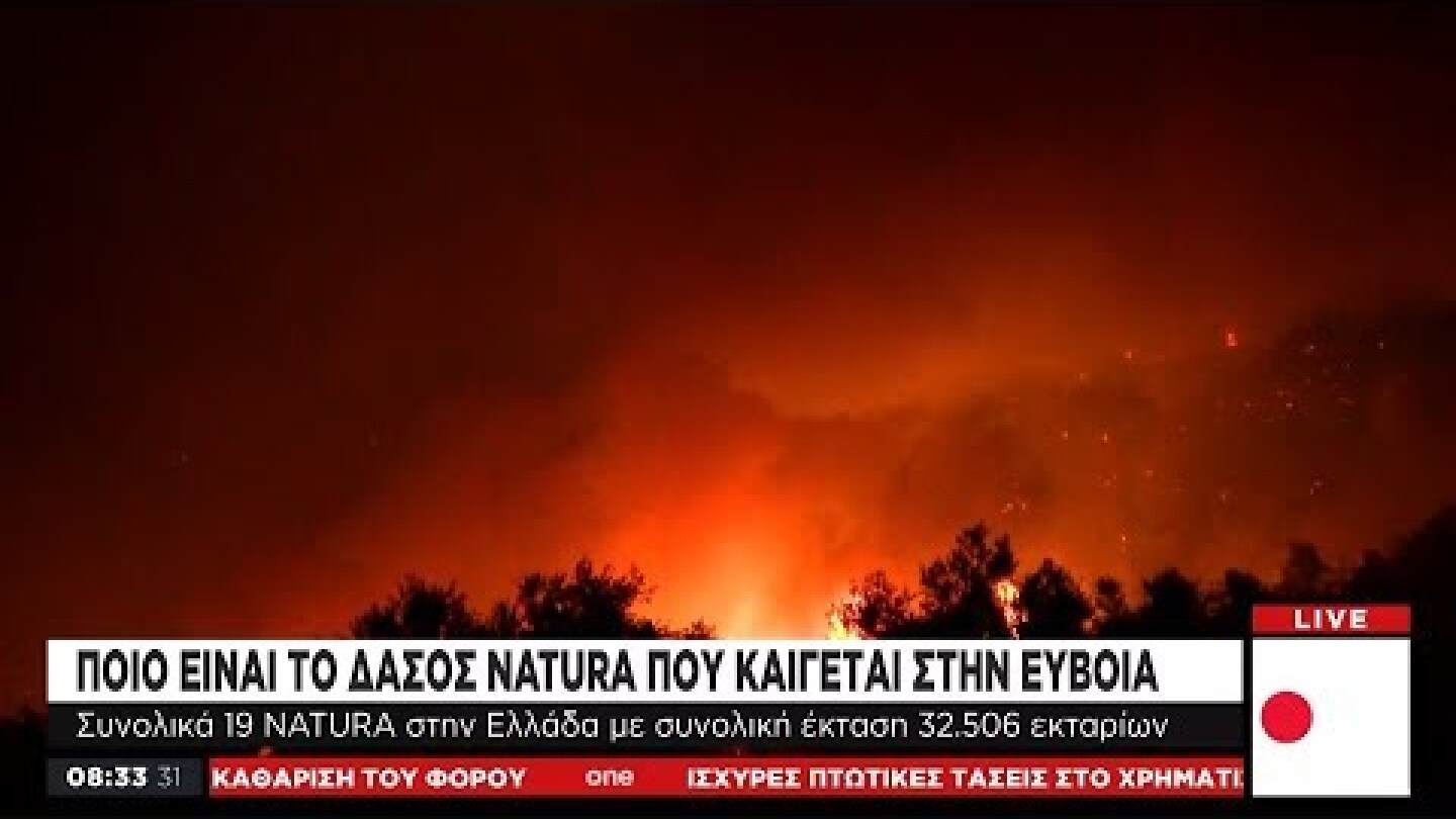 Δάσος Natura, Εύβοια: Πώς έγινε στάχτη ένας οικολογικός θησαυρός