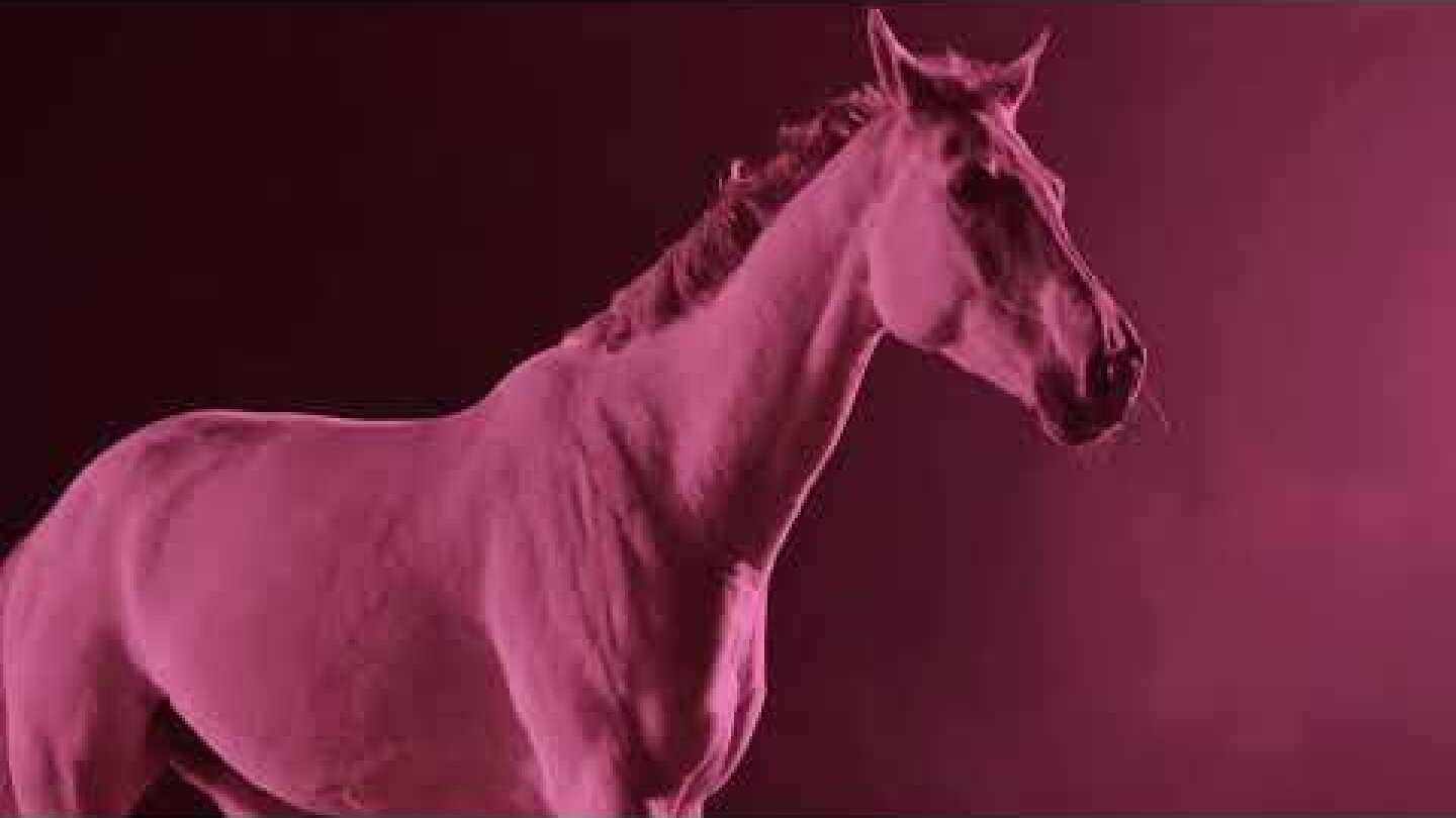 Youth Valley - Hurricane (Official Lyric Video)