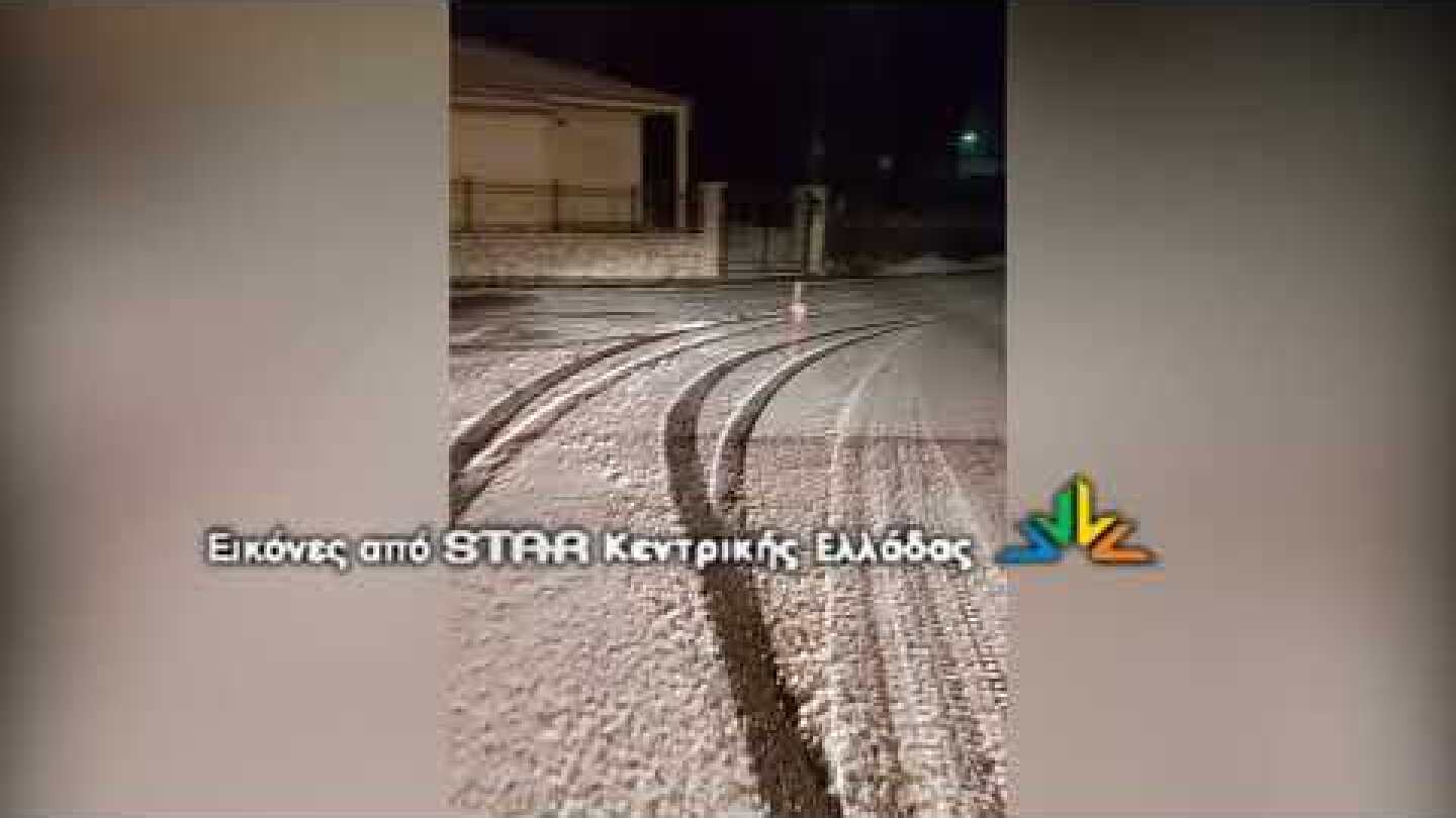 Φλαμίνγκο στο Καρπενήσι!