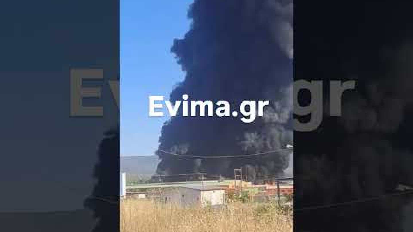 Εύβοια: Καίγεται εργοστάσιο στη Ριτσώνα