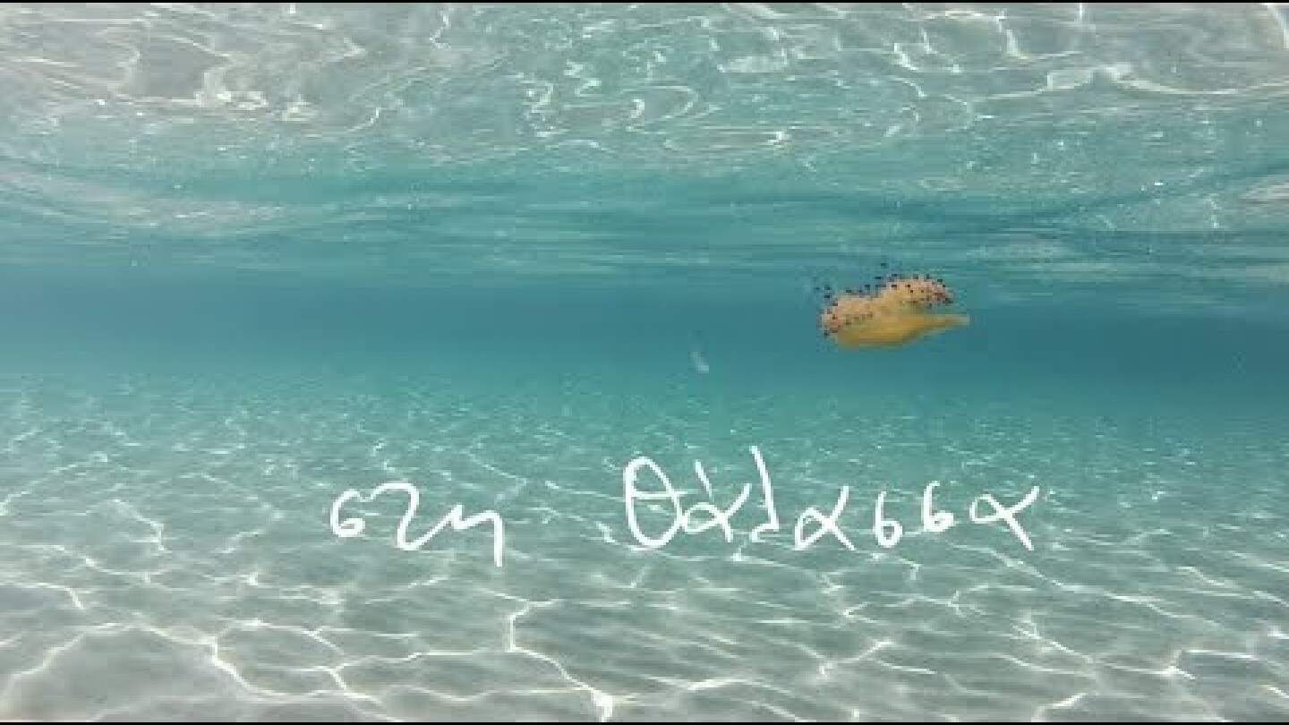 MIKRO - "Στη Θάλασσα"