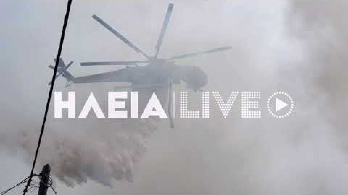 ilialive.gr - Αναζωπύρωση στη Νεμούτα