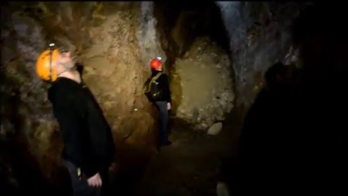 ΚΑΤΑΦΥΓΙΟ ΑΡΔΗΤΤΟΥ