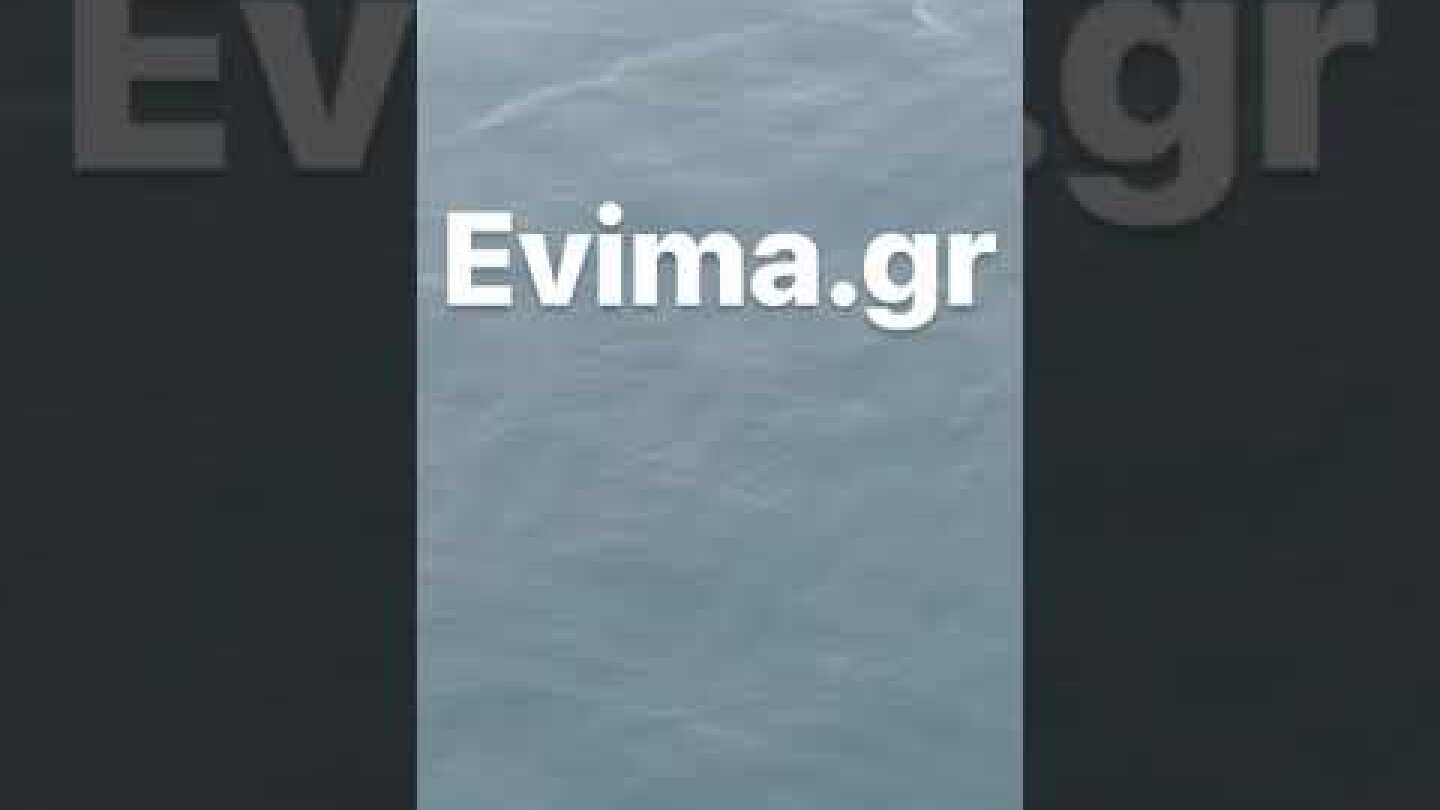 Φάλαινα σε παραλία της Εύβοιας