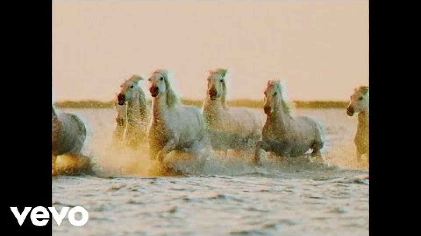 Calvin Harris, Rag'n'Bone Man - Giant (Lyric Video)