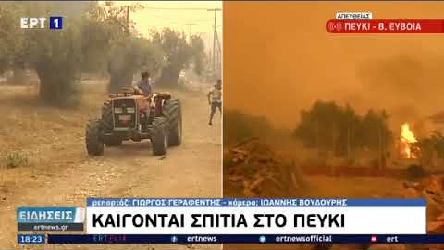 ΠΕΥΚΙ-ΕΥΒΟΙΑ-ΦΩΤΙΕΣ-ΠΥΡΚΑΓΙΕΣ-ΚΑΙΓΟΝΤΑΙ ΣΠΙΤΙΑ