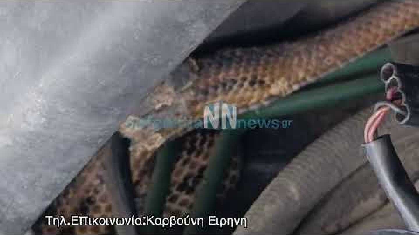 Τι είπε στο Ν.Ν. η γυναίκα που έζησε την περιπέτεια με το φίδι να ακινητοποιεί το όχημα της.
