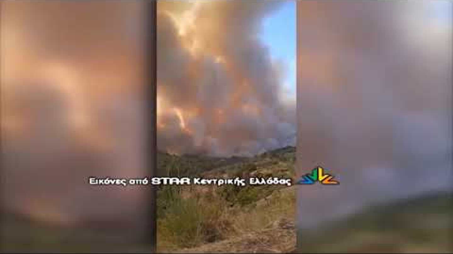 Φωτιά στη Λίμνη Ευβοίας