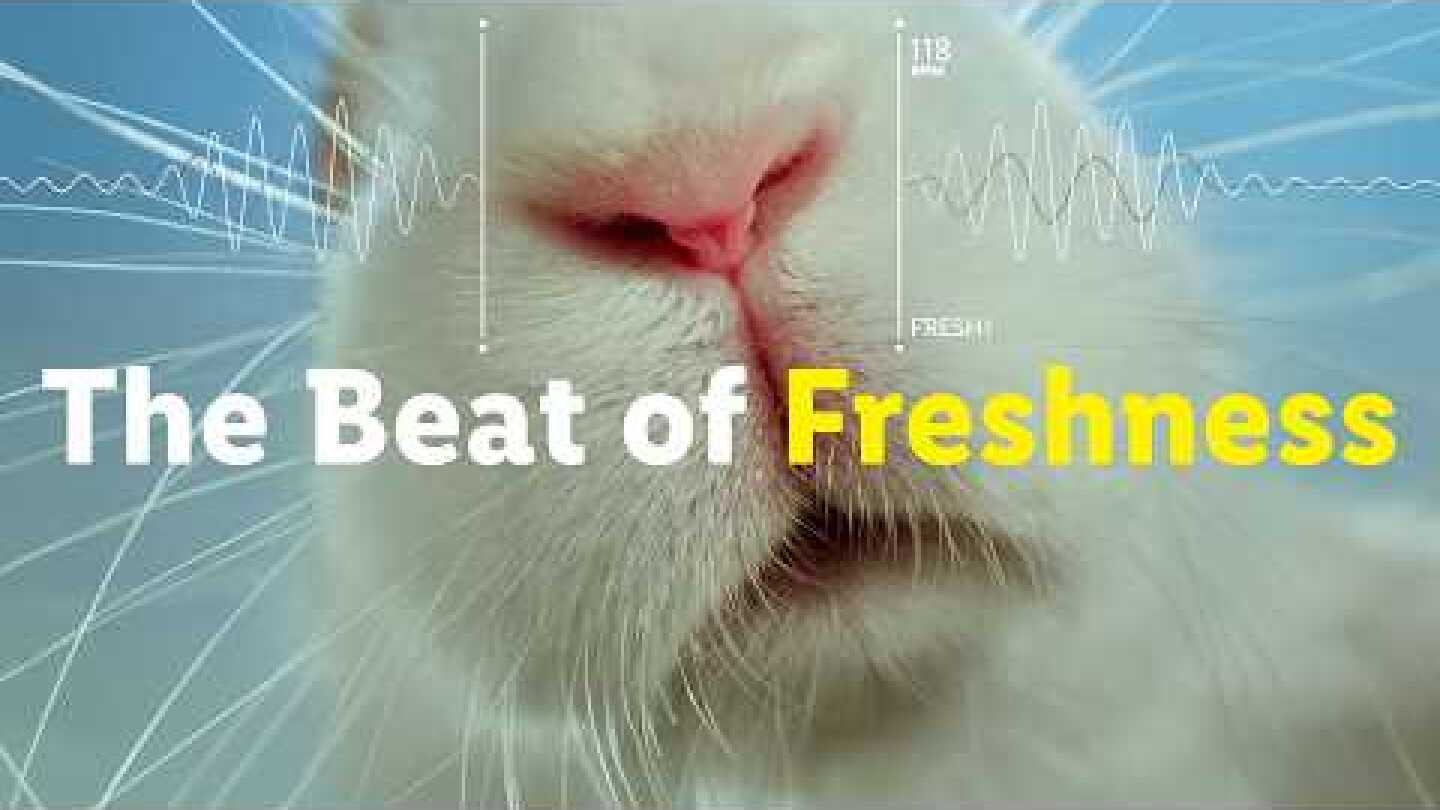 The Beat Of Freshness | Lidl Österreich